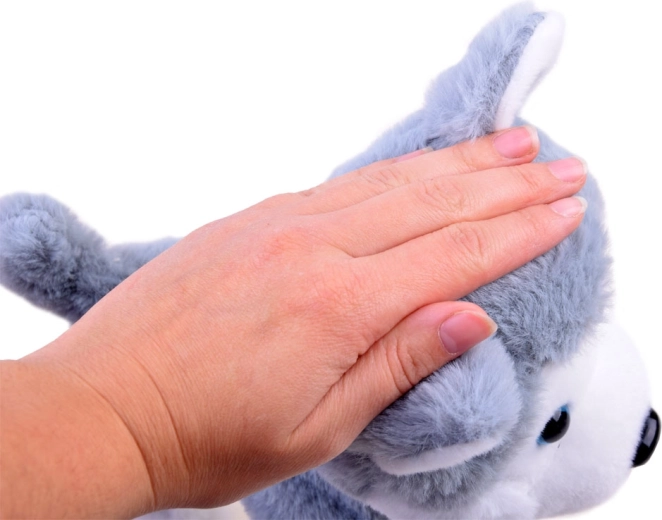 Reakcija uz pieskārienu un jautra reišana