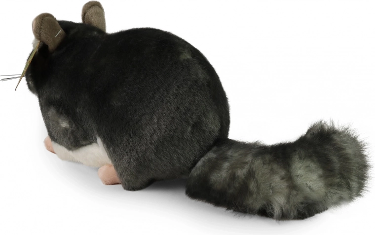 Piemērota no dzimšanas