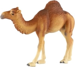 Lieliski piemērota mācībām un kolekcijām