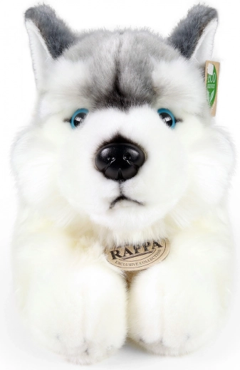Realistic husky detailing
