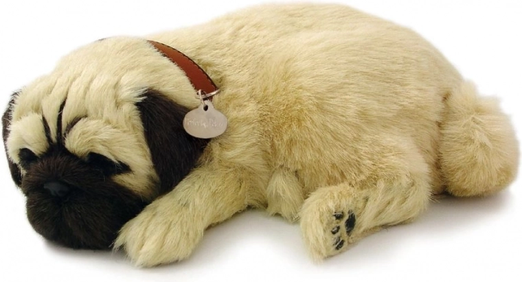 Uzticams mopša izpildījums