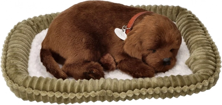 Realistic sleep on a soft pet bed