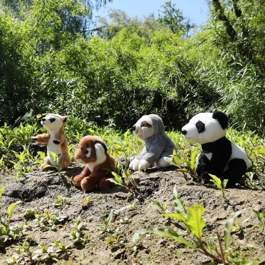 Iemīļotu dzīvnieciņu kolekcija