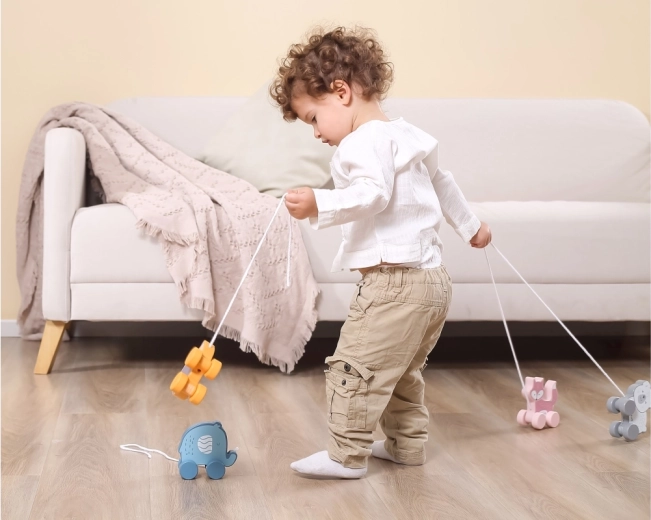 Motorikas prasmju attīstība