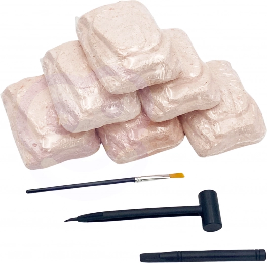 Komplekts ar 6 dinozauriem