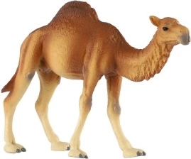 Tuksneša milža reālistiskas detaļas