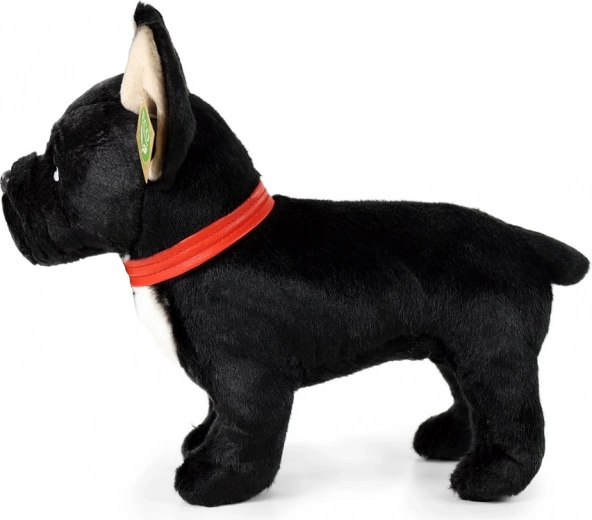 Reālistiskas detaļas un stāvošs dizains