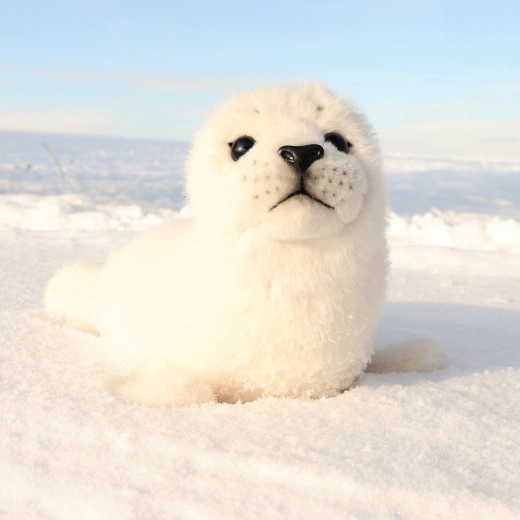 Gatavs mīļošanai mājās un ceļā