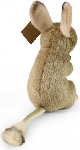 Reālistisks izpildījums īstam spēles piedzīvojumam