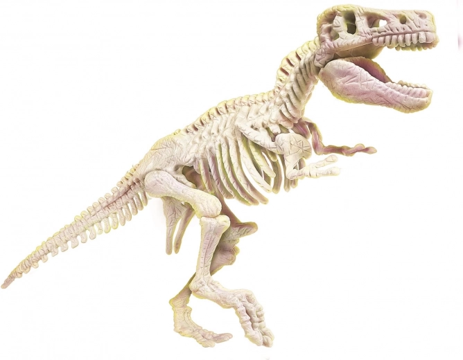 Spīdošs T‑Reksa skelets