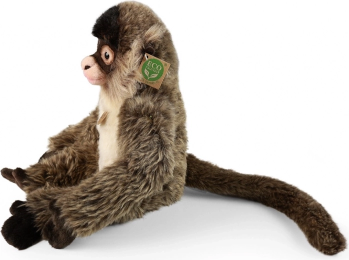 ECO-FRIENDLY pildījums