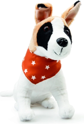 Empātijas un rūpju veicināšana