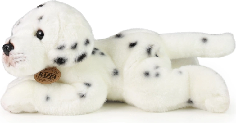 Eco friendly pildījums no PET pudelēm