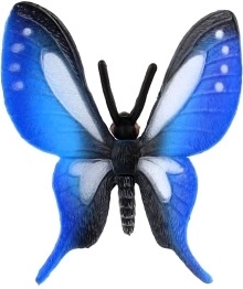 Brīnišķīgi zilie spārni