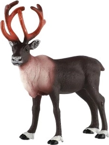 Realistisks izpildījums un detaļas