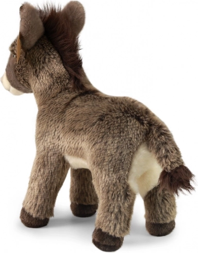 Piemērots no dzimšanas