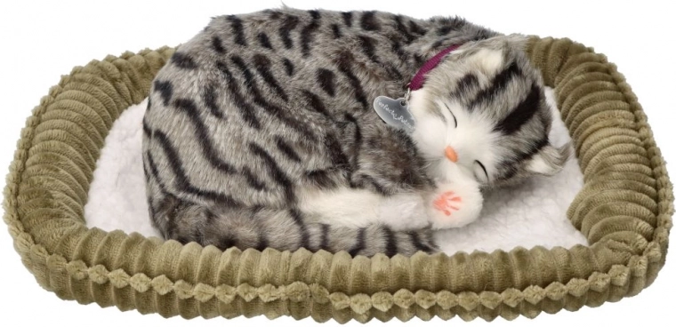 Reālistiska elpošana un izskats