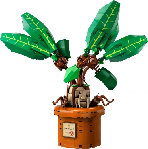 Create the Mandrake