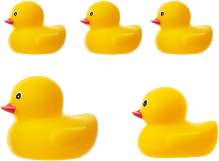 Divi izmēri vienā komplektā