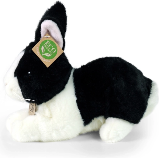 Videi draudzīgs pildījums no pārstrādāta PET