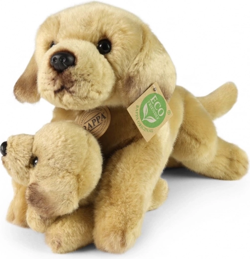 Drošs no dzimšanas (0+)