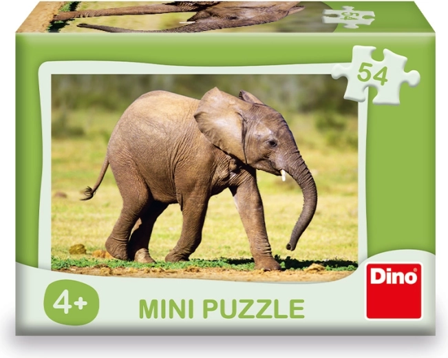 Ražots Čehijā no nekaitīga kartona