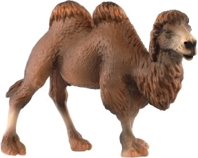 Divkupru kamieļa reālistiskas detaļas