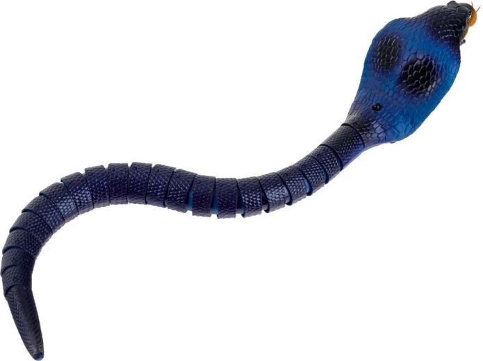 Reālistiska kustība un izskats