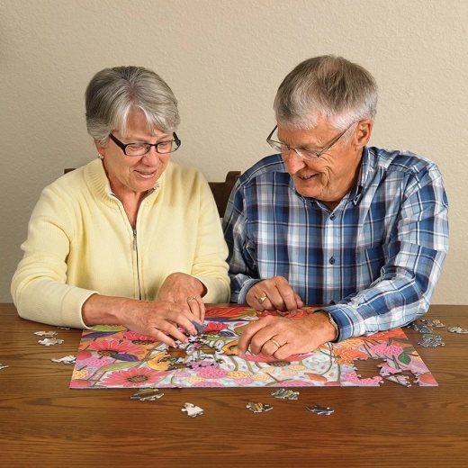 Fun for the whole family