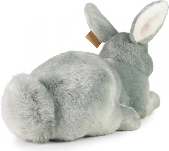 Maigs un reālistisks draugs