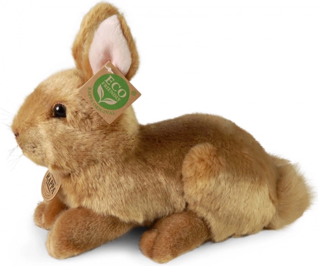 Eco-friendly pildījums no pārstrādātām PET
