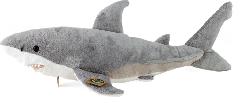 Drošs no dzimšanas