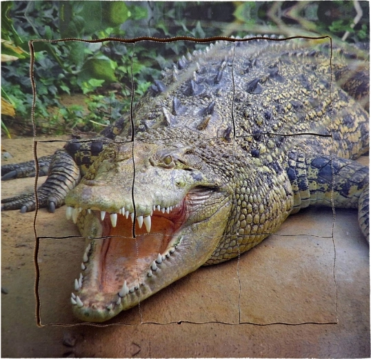 Detalizēta pieredze