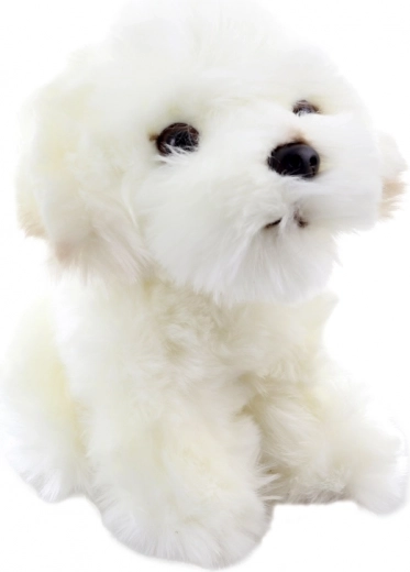 Reālistiskas jauka kucēna detaļas