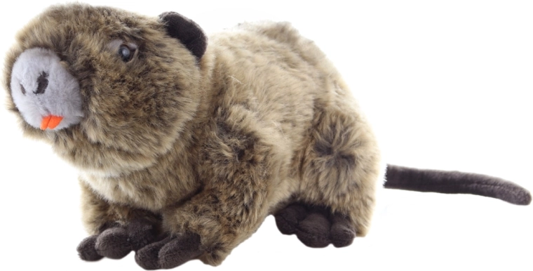 Videi draudzīgi materiāli