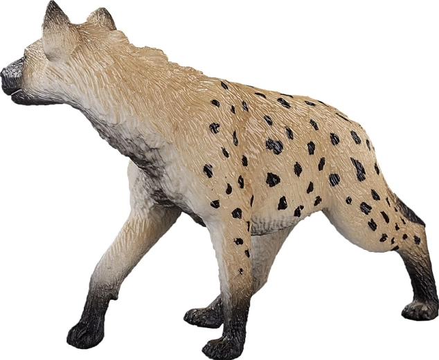 Daudzveidīgs pielietojums