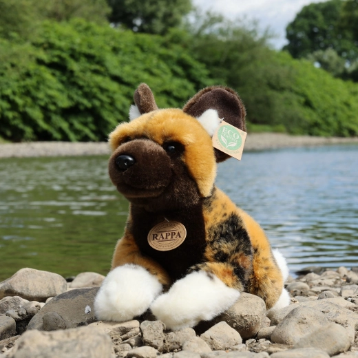 Droši bērniem no dzimšanas