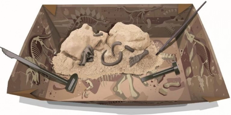 Roc un atklāj: ģipša bloks ar fosilijām