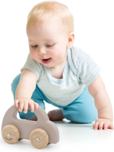 Motorikas prasmju attīstībai