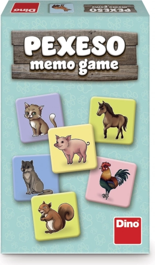 Kognitīvo prasmju attīstība