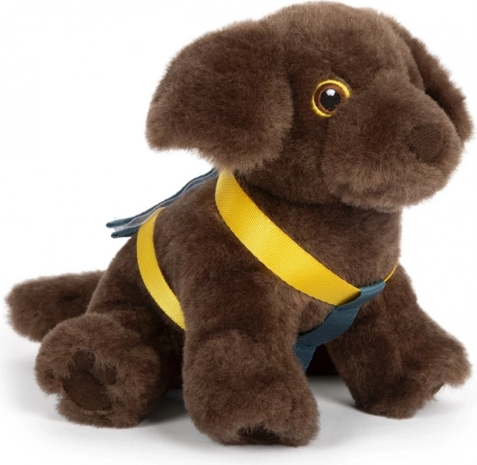 Pūkais suns ar iemauktiem