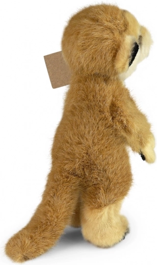 Maigs un kvalitatīvs materiāls