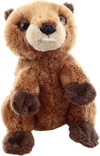 Perfect companion for children