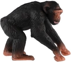 Izglītojoša vērtība