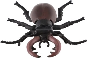 Kolekcionāru priekšmets