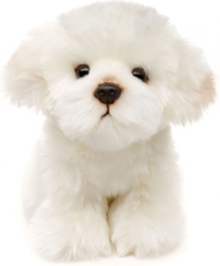 Videi draudzīgs un drošs izpildījums