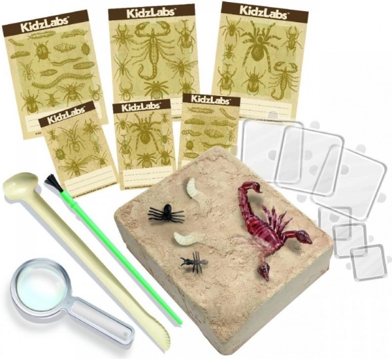 Pilns aprīkojums un mācību kartītes