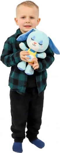 Maiga gaisma un melodijas mierīgai iemigšanai