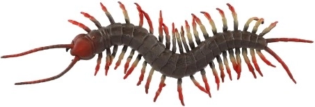 Reālistisks izskats, kas aizrauj