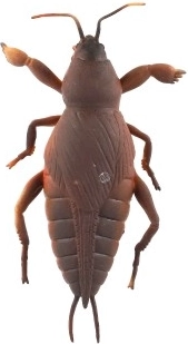 Super elastīgs un izstiepjams materiāls